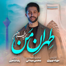 آهنگ جدید حمید فرزین به نام تهران من